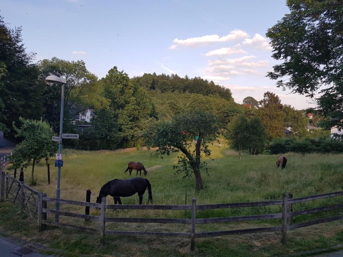 Ferienwohnung Drei Lilien Gummersbach Exteriér fotografie